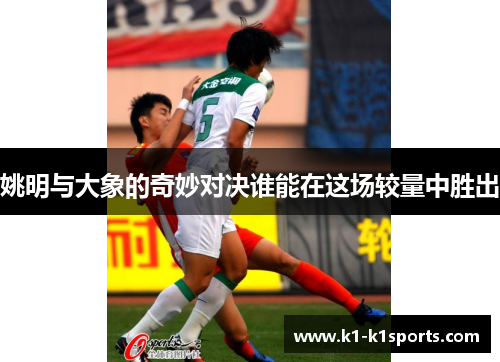 姚明与大象的奇妙对决谁能在这场较量中胜出