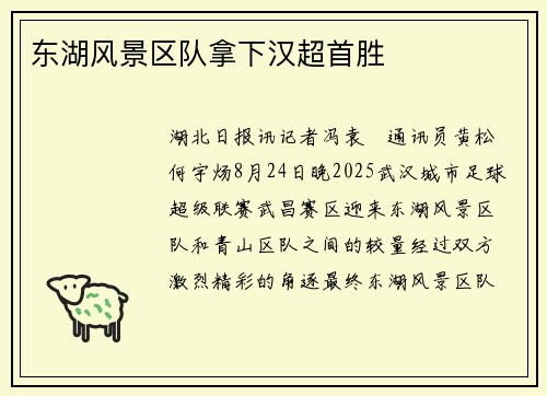 东湖风景区队拿下汉超首胜