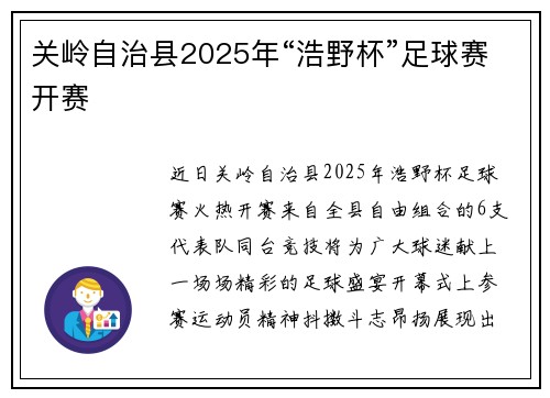 关岭自治县2025年“浩野杯”足球赛开赛